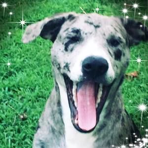 Meet your Posher, Tonya